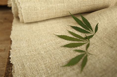  Hemp: Un Tessile Naturale Durabile per l'Abbigliamento e la Tekstil!