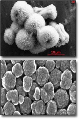  Wolframio Nanoparticelle: Materiale di Rivoluzione per Applicazioni Optoelettroniche!